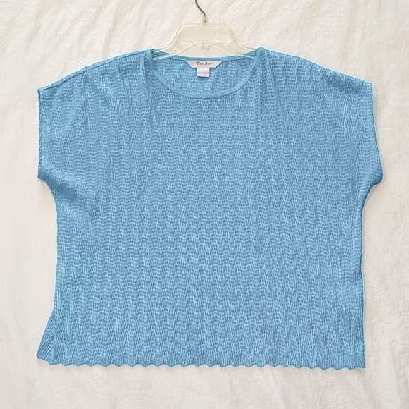 Tanjay 2 Piece Blue Green Stripe 3/4 Sleeve Semi Sheer Blouse Set Size 12P - Picture 2 of 6